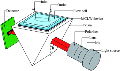 Schematic of the set-up used to test the MCLW device (where the angle of incidence, θ, was scanned).