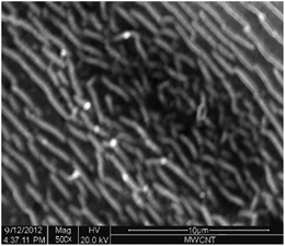 Scanning electron micrographic image of NAF/MWCNT/GCE.