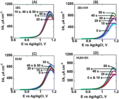 Background-subtracted averaged (n = 4) difference SWV current densities measured after each enzyme reaction for 25 μM B[a]P in anaerobic pH = 7.4 buffer on multiplexed array sensors featuring optimized films with different enzyme sources: (A) cyt P450 1B1, (B) cyt P450 1B1 + EH, (C) HLM, (D) HLM + EH (SWV ampl. 25 mV; freq. 15 Hz; step 4 mV).