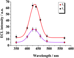 ECL spectra of ECL peaks at different potentials in air-saturated PBS buffer (0.1 mol L−1, pH 9.0) containing 1.0 × 10−7 mol L−1 luminol. E1 at −0.35 V and E2 at −0.72 V.