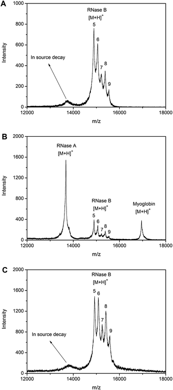 The specificity of the boronate affinity monolith to glycoproteins. MALDI-TOF MS mass spectra for (A) direct analysis of RNase B, (B) direct analysis of 1 : 1 : 1 RNase A, RNase B and myoglobin, (C) RNase B extracted by the boronate affinity monolith from the mixture. 5, 6, 7, 8 and 9 in the spectra represent for Man5, Man6, Man7, Man8 and Man9 glycoforms, respectively.