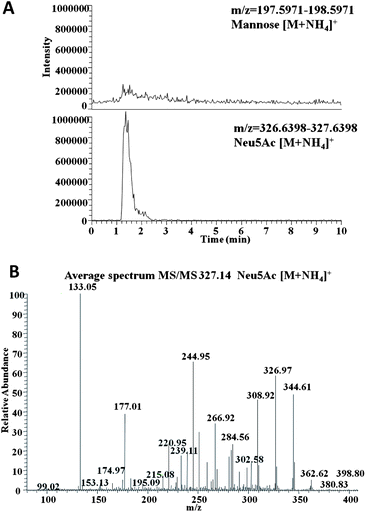 The specificity of the boronate affinity monolith toward monosaccharide at physiological pH. (A) Extracted ion chromatogram for Neu5Ac extracted from the mixture containing Neu5AC and mannose in 100 mM phosphate buffer containing 500 mM NaCl (pH 7.4), (B) positive ion MS/MS spectra for Neu5Ac, generated from precursor ion [M + NH4]+ at 327.00.