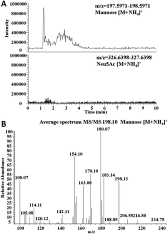 The specificity of the boronate affinity monolith toward monosaccharide at basic pH. (A) Extracted ion chromatogram for mannose extracted from the mixture containing Neu5Ac and mannose in 100 mM phosphate buffer (pH 10.0), (B) positive ion MS/MS spectra of mannose, generated from precursor ion [M + NH4]+ at 198.10.