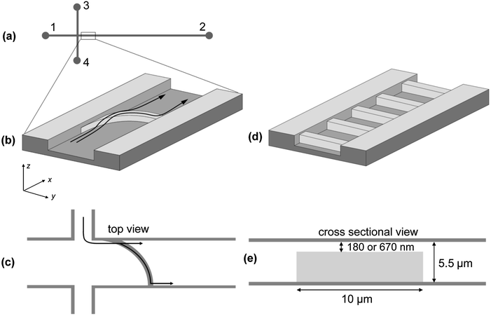 (a) Schematic layout of the microfluidic device (not to scale). All channels are 200 μm wide and 5.5 μm high, except for minicircle purification with width of 100 μm; channels 1, 3 and 4 are 3 mm long, channel 2 is 5 mm long. (b) Central element of the microfluidic separation device: a bowed ridge is placed in channel 2. The ridge reduces the flow through height to 180 or 670 nm. The black arrows demonstrate the working principle of the separation device. A mixture of two sorts of molecules is continuously injected as a narrow band, close to the left wall. At the ridge, one species passes the nanoslit unhindered, while the other one is deflected. The deflected species is transported along the ridge and continuously migrates further down the channel once it reached the opposite channel wall. (c) Top view of the bowed ridge. The two possible trajectories for separated species are indicated. (d) Scheme of the microstructure used for determining polarizabilities: instead of the bowed ridge, periodically arranged ridges with a period of 30 μm and a total number of 100 are fabricated in channel 2. (e) Cross-sectional view of a single ridge with a flow through height of 180 or 670 nm.