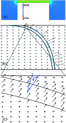 Numerical calculations of the dielectrophoretic potential and the electric field for a 3D model of the ridge (Comsol 3.5). (a) Cross-sectional view of the dielectrophoretic trapping potential near and on top of the ridge with a potential minimum (trap) on the ridge (for α > 0). (b) Electric field at the nanoslit, the arrow length is proportional to the electric field strength. (c) Detailed plot of the field lines on top of the ridge. The arrows cross the nanoslit with an angle of Θ ≈ 15° to the perpendicular.