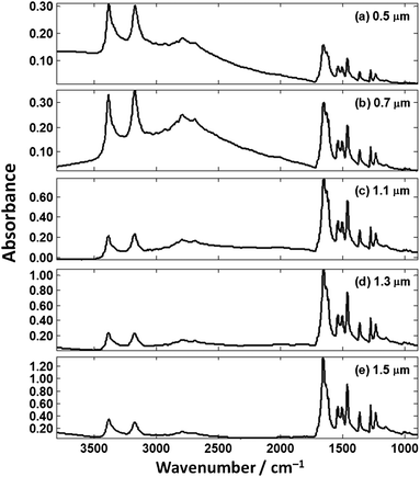 Theoretical cytosine spectra on our hypothetical absorber of the same thickness as measured (Fig. 5).