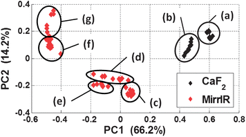 Principal components analysis (PCA) scores plot comparing the second derivative spectra of the 1500–1700 cm−1 spectral region of the cytosine thin films. The transmission spectra are: (a) 0.5 μm, (b) 1.5 μm; the transflection spectra are (c) 0.5 μm, (d) 0.7 μm, (e) 1.1 μm, (f) 1.3 μm and (g) 1.5 μm.