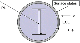 Schematic representation of PL and surface-state ECL emissions in a semiconductor NP. (Reproduced from ref. 28. Copyright 2003, American Chemical Society.)