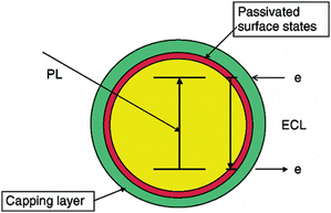 Schematic representation of PL and band-gap ECL emissions in a semiconductor NP. (Reproduced from ref. 28. Copyright 2003, American Chemical Society.)