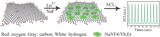 Schematic representation of preparation procedure of the graphene-NaYF4/Yb,Er nanohybrid and its ECL property. (Reproduced from ref. 145. Copyright 2012, Royal Society of Chemistry.)