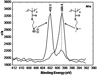 N1s XPS spectra of PDMAEMA- (right) and QPDMAEMA- (left) grafted filter papers.