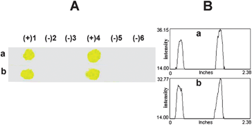 Representative images (column A: scanned image and column B: profile image) of the test results demonstrating sequence determination of the DNA SLE2 sample using the b-PNA SLE2 probe on the QPDMAEMA-grafted filter paper: (a) freshly prepared and (b) stored at room temperature (27–33 °C) for 1 month.