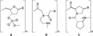 Structures of (a) DNA, (b) Nielsen's aegPNA, and (c) Vilaivan's acpcPNA.