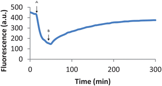 Fluorescence of CP645 (6 µM) quenched by an addition of iron (2 µM) and recovered by the addition of L5 (60 µM). Fluorescence of CP645 in MOPS buffer (pH 7.4) was traced at a 5 min intervals; after 18 min, iron (2 µM) was added to the cuvette (A), followed by L5 (60 µM) after 52 min (B). The fluorescence was recorded at λex = 435 nm and λem = 475 nm for 5 hours.