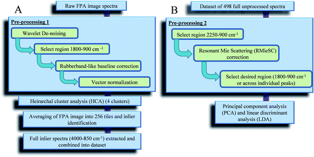 Protocol for the analysis of focal plane array images in MATLAB: (A) generation of an inlier dataset; and, (B) inlier dataset analysis.