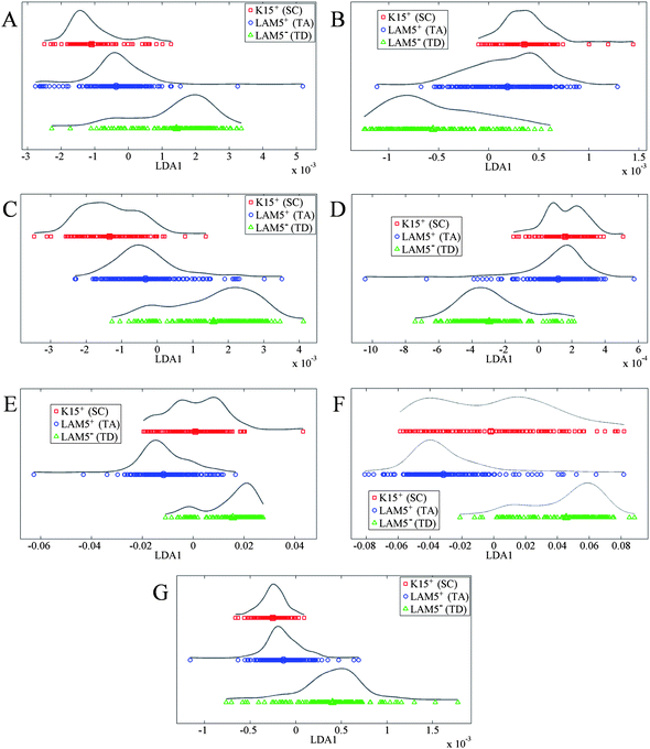 One-dimensional principal component analysis-linear discriminant analysis scatter plots of individual peaks: (A) 1020–1100 cm−1 corresponding to symmetric phosphate stretching vibrations (νsPO2−); (B) 1210–1260 cm−1 corresponding to asymmetric phosphate stretching vibrations (νsPO2−); (C) 1360–1430 cm−1 corresponding to symmetric CH3 deformations (protein); (D) 1430–1470 cm−1 corresponding to asymmetric CH3 deformations (protein); (E) 1490–1590 cm−1 corresponding to the Amide II; (F) 1610–1700 cm−1 corresponding to the Amide I; and, (G) 1720–1780 cm−1 corresponding to lipid.