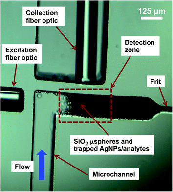 Image of the detection region of the optofluidic SERS device.