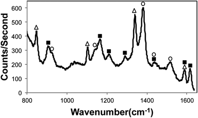 Multiplexed SERS spectrum of 0.1 ppb malachite green oxalate (■), 5 ppm methyl parathion (△), and 5 ppb thiram (○).