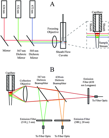 Optical block diagram for capillary electrophoresis with three-color fluorescence detection. (A) Excitation schematic. (B) Emission schematic.