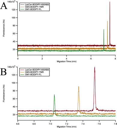 Three-color fluorescence electropherogram. (A) Three-color electropherogram of a 100 pM mixture of GM1–BODIPY–FL (green), GM3–BODIPY–TMR (orange), and LacCer–BODIPY–650/665 (red). (B) Expansion of the separation window of (A). Traces were vertically offset for clarity.