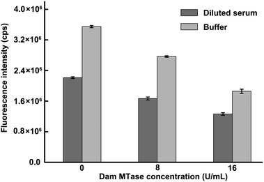 Results obtained from the testing of human serum samples spiked with Dam MTase and Dam MTase in NEBuffer 2. Human serum was diluted in 1:20 ratio with NEBuffer 2.