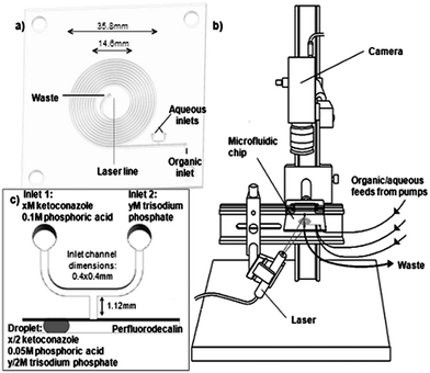 The microfluidic chip (a), the experimental configuration (b), and a schematic of droplet formation and composition (c) used to study ketoconazole precipitation.