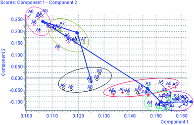 Trajectory analysis of PCA score plots for the CCl4 treatment in positive mode. (×:the 1–3rd day; □: the 4th day; +: the 5th day; ◇: the 6th day; △: the 7th day; ○: the 8th day).