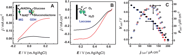 (A) Polarization curves of the bioanode for glucose oxidation in 0.16 M phosphate buffer (pH 7.0) containing 10 mM NAD+ in the absence (black curve) and presence (red curve) of 30 mM glucose. Flow rate, 1 μL min−1; potential scan rate, 1 mV s−1. (B) Polarization curves of the biocathode for the O2 reduction in 0.16 M phosphate buffer (pH 6.0) under ambient air (black curve) or saturated with O2 (red curve). Flow rate, 1 μL min−1; potential scan rate, 1 mV s−1. (C) Polarization curves (filled symbol) and the relationship between power output and current densities (open symbol) for the glucose/O2 biofuel cell-based biogenerator. The bioanodic stream was 0.16 M phosphate buffer (pH 7.0) containing 1 mM NAD+ and 2 mM glucose, while the biocathodic stream was 0.16 M phosphate buffer (pH 6.0). The flow rate for the bioanodic stream was kept as 3 μL min−1 while that for the biocathodic stream was set as 3 μL min−1 (black curve), 4 μL min−1 (red curve), and 5 μL min−1 (blue curve).