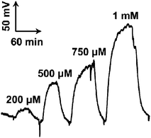 Typical voltage–time responses obtained with the online detecting system with the self-powered biogenerator as the detector toward glucose. The standard glucose solutions (concentrations are given in the figure) were online mixed with external aCSF containing 2.5 mM NAD+ in a T-joint and the resulting mixture was perfused into the microchip through inlet 1 at 3 μL min−1. Meanwhile, 0.16 M phosphate buffer (pH 6.0) used as the biocathodic stream was perfused into the microchip through inlet 2 with pump 3 at 3 μL min−1. A 600 kΩ external resistor was connected to the two electrodes of the biogenerator and the voltage generated on the resistor was continuously monitored by a home-made portable voltmeter.