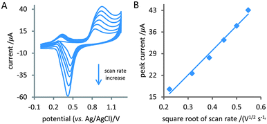 (A) CVs of the proposed biosensor in 0.1 M PBS (pH 7.4) containing 2.5 mM TPA at scan rates of, from inner to outer, 0.05, 0.1, 0.15, 0.2, 0.25, and 0.3 V s−1. (B) Relationship between the peak currents and the square root of scan rates with a correlation coefficient of 0.993.