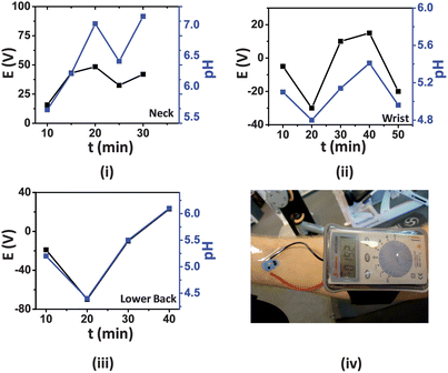 Real-time response (black) of the ISE tattoos applied to (i) neck, (ii) wrist and (iii) lower back. The plot in blue represents the pH measured by the conventional pH meter. (iv) Photograph showing the entire device (tattoo and digital multimeter) attached to the wrist for such epidermal measurements of pH in human perspiration.