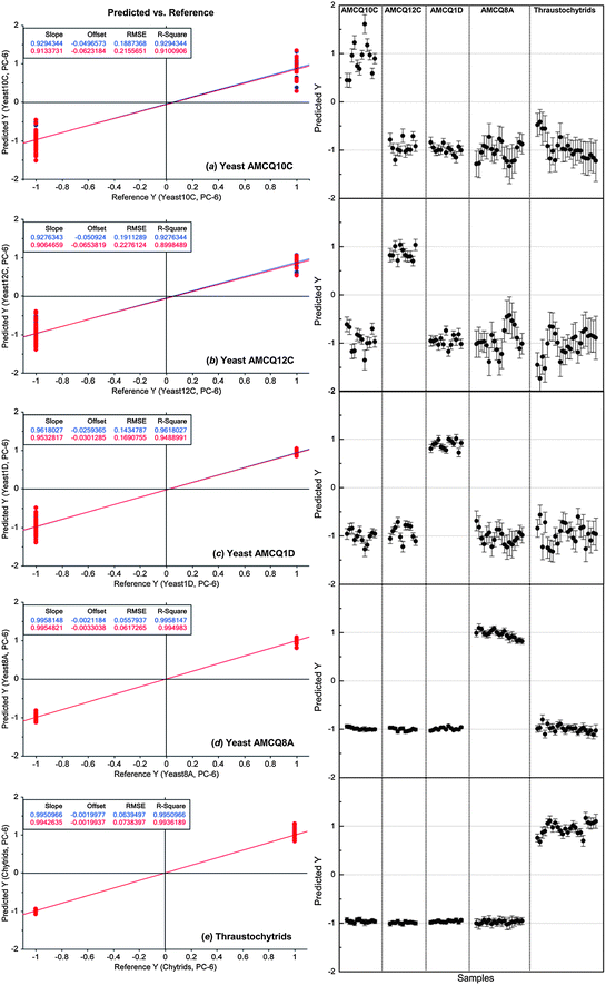 PLS-DA results showing linear regression models of individual yeast isolates and the thraustochytrid trained by using the replicate I spectral dataset (left) and their corresponding prediction results to identify the yeast/thraustochytrid samples in the replicate II set as independent validation samples (right). The nominated Y values of +1/−1 in the prediction represent yes/no classification decisions, respectively, showing that 100% of samples in the independent validation set were correctly classified. Note that the numbers of the cell samples included in replicate I and II sets are 81 and 79, respectively.