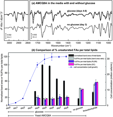 (a) Average EMSC-corrected 2nd derivative spectra of the yeast isolate AMCQ8A grown in the glucose and the control media. (b) Cell concentration plotted together with the normalised 2nd derivative band area of total lipids, and %UFAs per total lipids observed for the yeast AMCQ8A in the media with glucose (days 4–8) and without glucose (day 3), in comparison to that of thraustochytrids (day 7). Three different methods were used to obtain %UFAs including (i) percentage ratio of integrated 2nd derivative band areas, (ii) PLSR analysis, and (iii) GC technique.