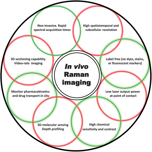 A figurative (as opposed to fibre-optic) bundle of some of the key terms and demonstrated capabilities of in vivo Raman imaging mentioned throughout this article.