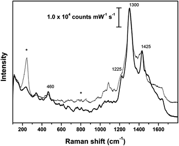 SER spectra of reference animal fibers dyed intense red with cochineal; dotted line: wool fleece; solid line: silk cloth; asterisks indicate peaks arising from Ag colloidal paste. SER spectra obtained using λex = 633 nm.