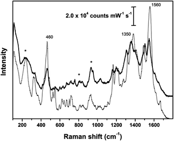 SER spectra of reference animal fibers dyed with brazilwood; solid line: silk cloth; dotted line: wool fleece; asterisks indicate peaks arising from Ag colloidal paste. SER spectra obtained using λex = 633 nm.