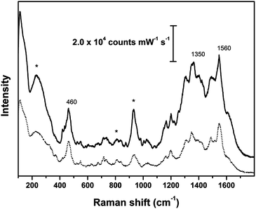 SER spectra of reference vegetal fibers dyed with brazilwood; solid line: cotton cloth; dotted line: flax cloth; asterisks indicate peaks arising from Ag colloidal paste. SER spectra obtained using λex = 633 nm.