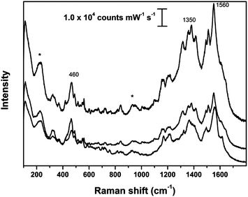 SER spectra obtained on sample 1978.174; asterisks indicate peaks arising from Ag colloidal paste. SER spectra obtained using λex = 633 nm.