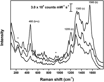 SER spectra obtained on sample 1987.375.2; asterisks indicate peaks arising from Ag colloidal paste; (b) and (c) indicate the most diagnostic peaks for brazilwood and cochineal, respectively. SER spectra obtained using λex = 633 nm.