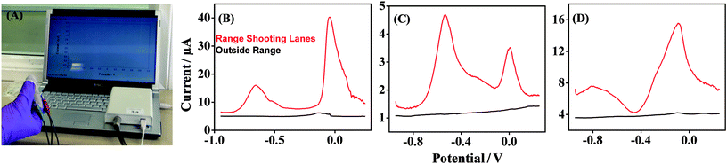 (A) VMP detection of GSR sampled at the Forensic Finger performed using a portable electrochemical analyzer (CH Instruments model 1230A) interfaced with a notebook computer. (B) VMP of GSR samples taken from two different surfaces on location in a firing range: from a railing outside the firing range (black) and from a surface inside the shooting lanes of the range (red). (C and D) VMP of GSR samples from two subjects for two different conditions: N – no contact and L – loading. Electrochemical parameters, as in Section 2.3. See Experimental section for other details.