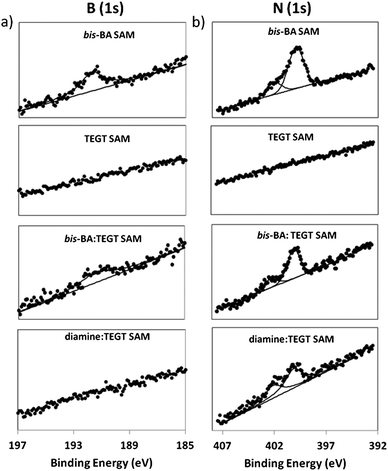 XPS spectra of (a) B (1s) and (b) N (1s), from, pure bis-BA, pure TEGT, mixed bis-BA : TEGT and mixed diamine : TEGT and SAMs.