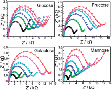 EIS of the modified gold electrodes modified with a self-assembled monolayer of compound 1 with different concentrations of saccharides (from inner to outer: 0, 10−6, 3 × 10−6, 5 × 10−6, 8 × 10−6, 10−5 M): in PBS (pH = 8.0) containing 5 mM Fe(CN)63−/4− (1 : 1) with 0.1 M KNO3. The frequency range is between 100 mHz and 100 kHz at the half-wave potential of 0.2 V with 10 mV sine wave potential.