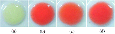 Selectivity results performed in white glazed porcelain spotting plates on blank control reagent (a) and piperazine analogues: BZP HCl (b), TFMPP HCl (c) and mCPP HCl (d).