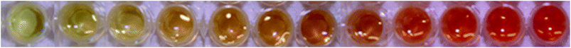 Results of limit of detection testing of BZP HCl using the NQS colour test method performed in plastic micro-well plates. Amounts used are 0, 1, 2, 4, 5, 7, 9, 10, 20, 30, 40 and 50 μg, respectively.