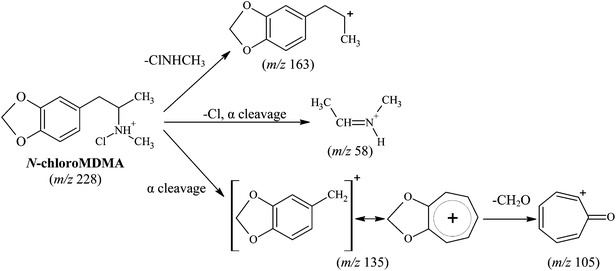 Proposed structure and fragmentation pattern for reaction product (N-chloroMDMA).