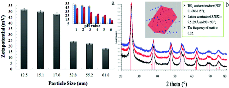 Relationship between the particle size (a) or pH (a, insert) and the zeta potential. Reproduced by permission of The Royal Society of Chemistry),28 and (b) X-ray powder diffraction data of the titania nanoparticles.