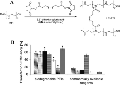 (A) Synthesis of disulfide cross-linked low-molecular-weight lPEI, where LR refers to Lomant's reagent, a cross-linking reagent. (B) Comparison of the best gene transfection efficiency of seven disulfide cross-linked lPEI vectors with seven commercially available transfection agents under conditions where the cell viability is >90%, in (from left to right) CHO-K1, COS-7, NIH/3T3, HepG2, HCT116, HeLa and HEK-293 cells, respectively. Statistically significant differences of biodegradable PEIs compared with those commercial transfection agents are denoted by ★ (p < 0.01). (Reprinted from ref. 73 with permission of National Academy of Sciences, USA).