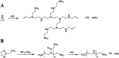 Schematic of synthesis of PEI by (A) branched: acid-polymerization of aziridine; and (B) linear: ring-opening polymerization of 2-ethyl-2-oxazoline followed by hydrolysis.