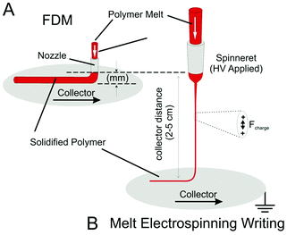 Schematic highlighting some distinctions between FDM and melt electrospinning writing. For FDM (A), the polymer melt must be pushed through a fine nozzle to attain small diameter filaments, creating significant pressures due to melt flow. Melt electrospinning (B) can have a much larger diameter spinneret, since the diameter reduction of the filament takes place across a large air gap due to surface charges on the electrified jet. Due to this large air gap, melt electrospinning writing does not need stage movement in the z-direction. Ultimately the filaments are smaller—currently down to 5 μm, compared to a 100 μm limit for FDM systems.