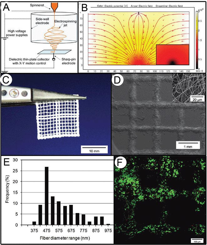 Solution electrospinning in a direct writing mode based on work by Lee et al.51 In this configuration, shown in (A), the jet is controlled by a side-walled electrode, in combination with a moving sharp pin electrode beneath a thin-plate collector. The result is a controlled electrical field (B) that allows direct writing of structures with an example shown in (C) and magnified in an SEM image in (D). The diameter distribution (E) is typical for such electrospun fibers, and (F) supports the survival of 3T3 cells, as shown with the live-dead stain. Figures reproduced with permission from Lee et al., Langmuir, 28, 7267. Copyright 2006, American Chemical Society.51